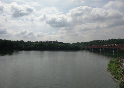Lor Halus Wetland Tour